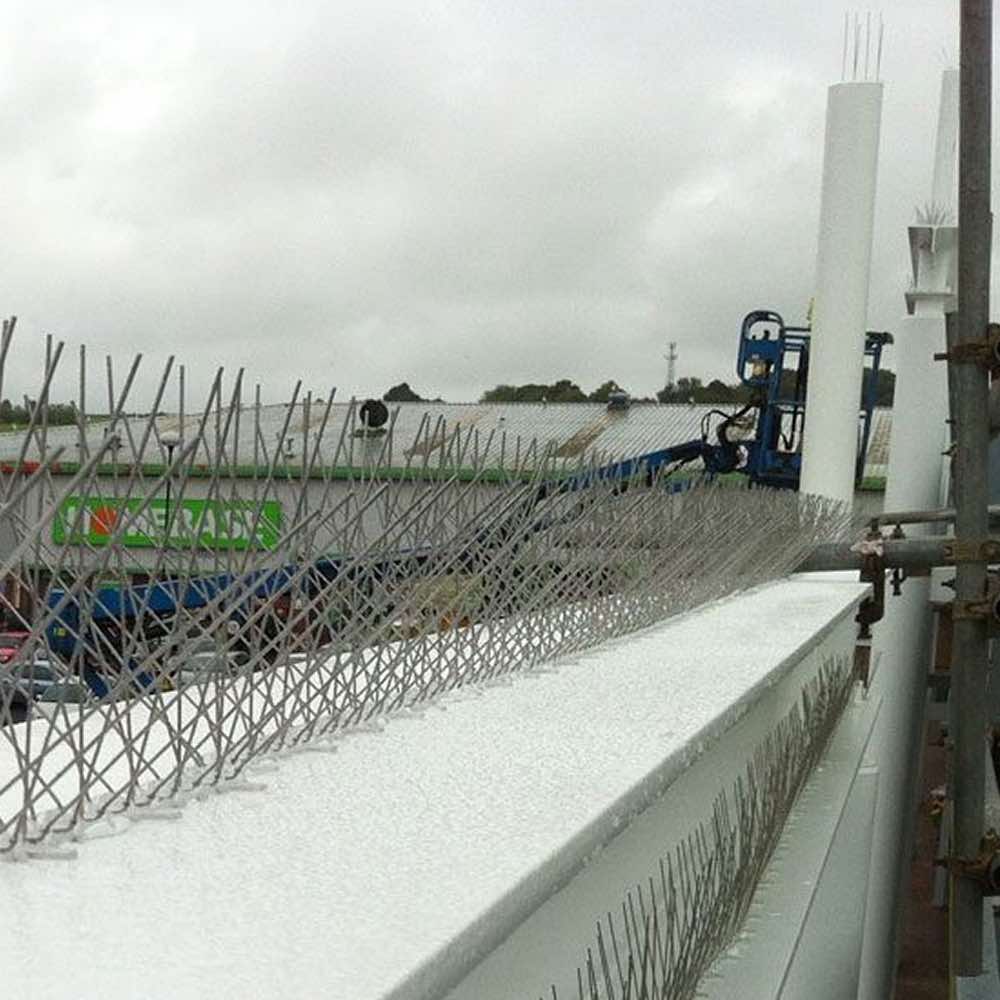 Bird Spikes | Bird Control Spikes | Bird Deterrent Spikes (per 50cm strip): image 6