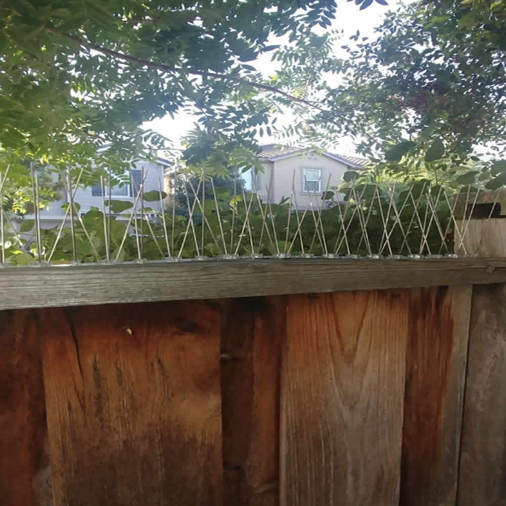 Anti-Possum Spikes | Possum Deterrent Spike Strips | Possum Repellent Spikes (per 50cm strip): image 2