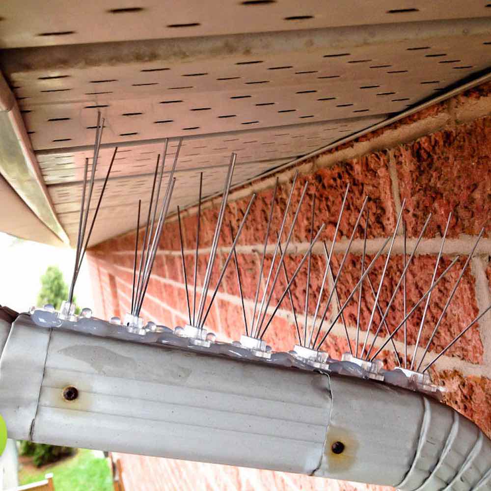 Anti-Wren Spikes | Wren Deterrent Spike Strips | Wren Repellent Spikes (per 50cm strip): image 2
