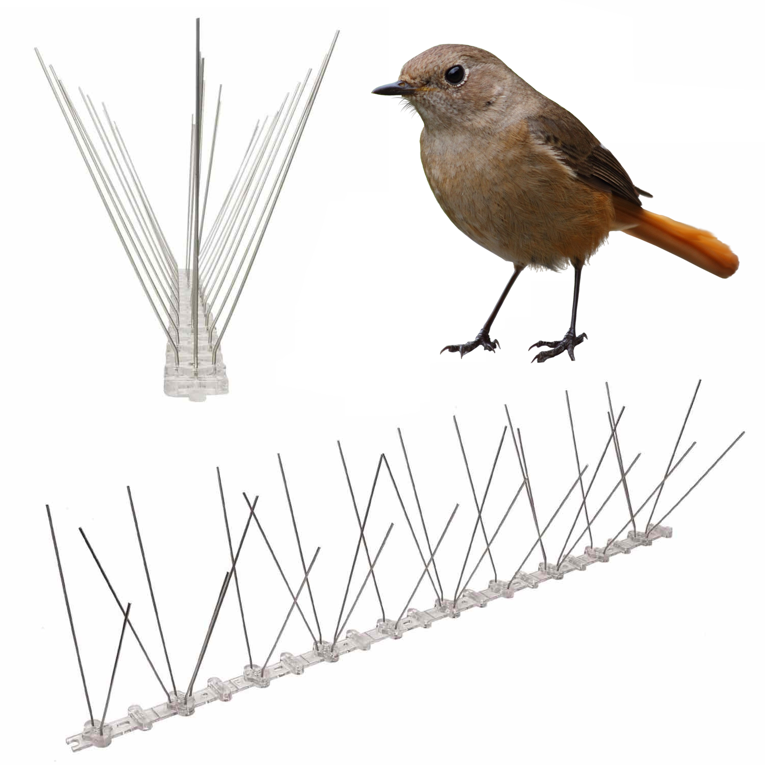 Anti-Wren Spikes | Wren Deterrent Spike Strips | Wren Repellent Spikes (per 50cm strip)
