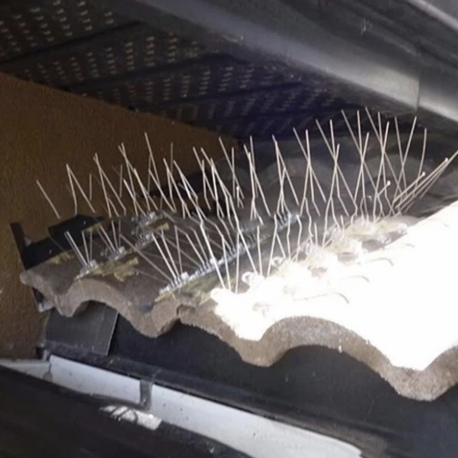 Pigeon Spikes | Pigeon Deterrent Spike Strips | Pigeon Repellent Spikes - (per 50cm strip): image 3