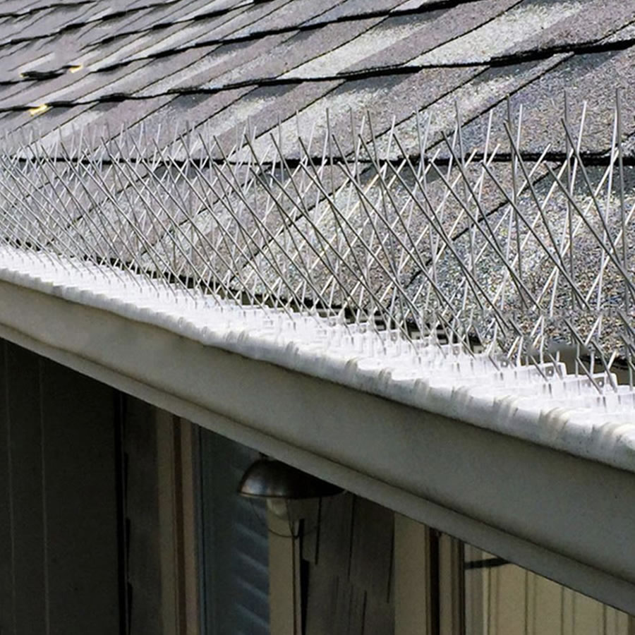 Anti-Seagull Spikes | Seagull Deterrent Spike Strips | Seagull Repellent Spikes (per 50cm strip): image 2