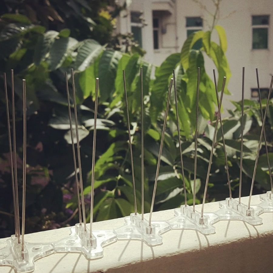 Anti-Seagull Spikes | Seagull Deterrent Spike Strips | Seagull Repellent Spikes (per 50cm strip): image 5