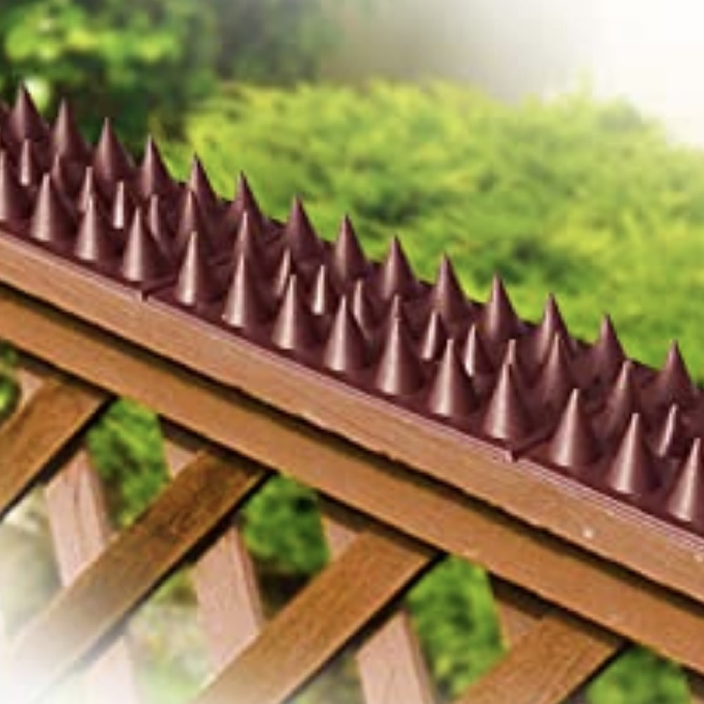 fence spikes