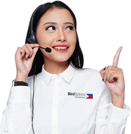 bird spikes business philippines